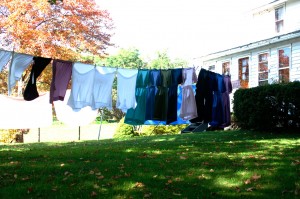 Amish Laundry on the Line