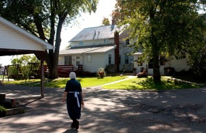 Amish Woman, Amish Farm