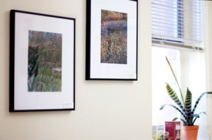 Photographs at Bastyr Research Center