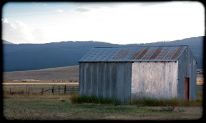 Farm Shed