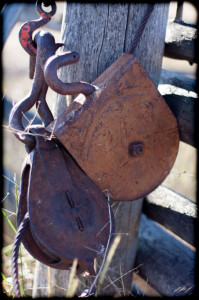 Farm Detail