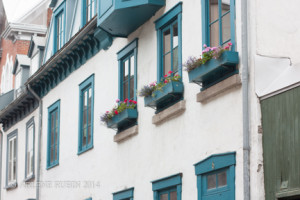 flower boxes in windows