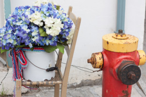 Colorful hydrangea and fire hydrant