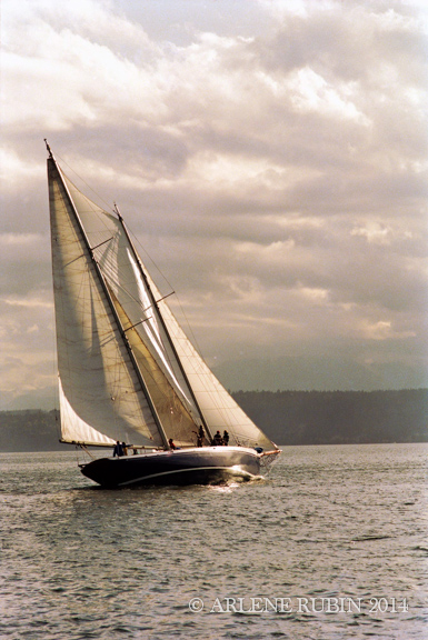 A_Rubin_sailboat_42838_lowres.jpg