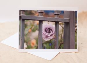 Purple rose photo card