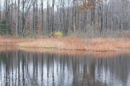 A-Rubin-Cleveland-landscape_MG_6483.jpg