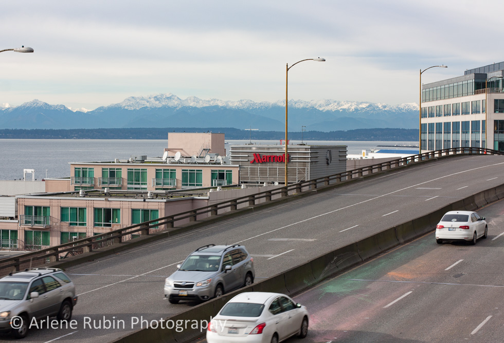 MG_9991-Seattle-Viaduct-2.jpg